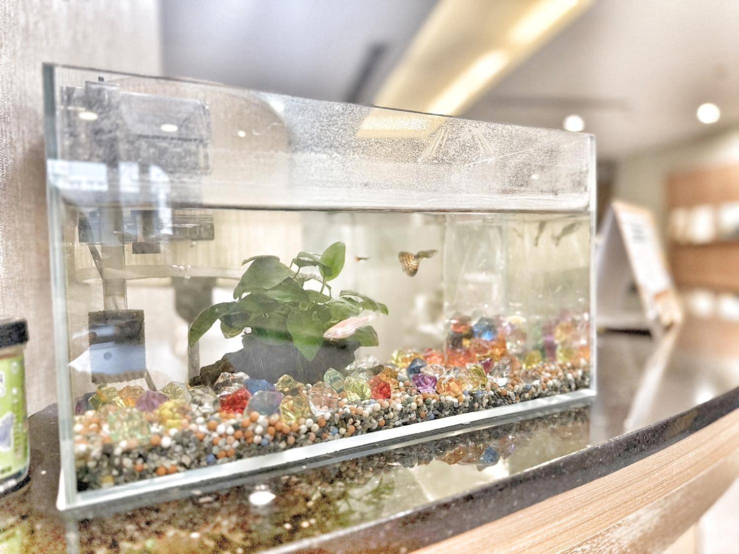 Yoai Nemuru Inn Tainan Dış mekan fotoğraf